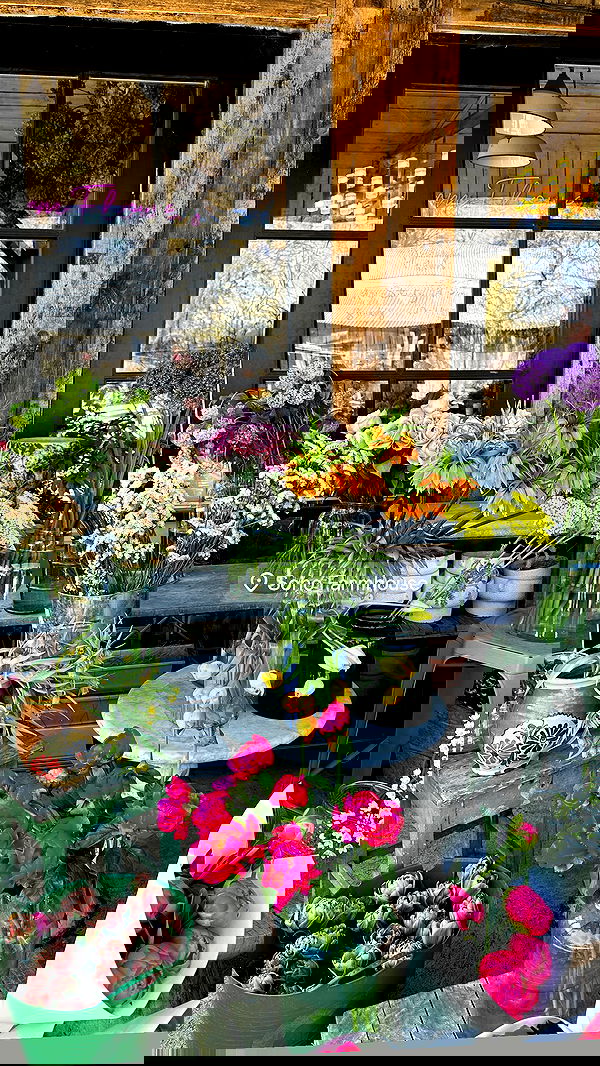 taylor.creeden taylor.creeden archive image