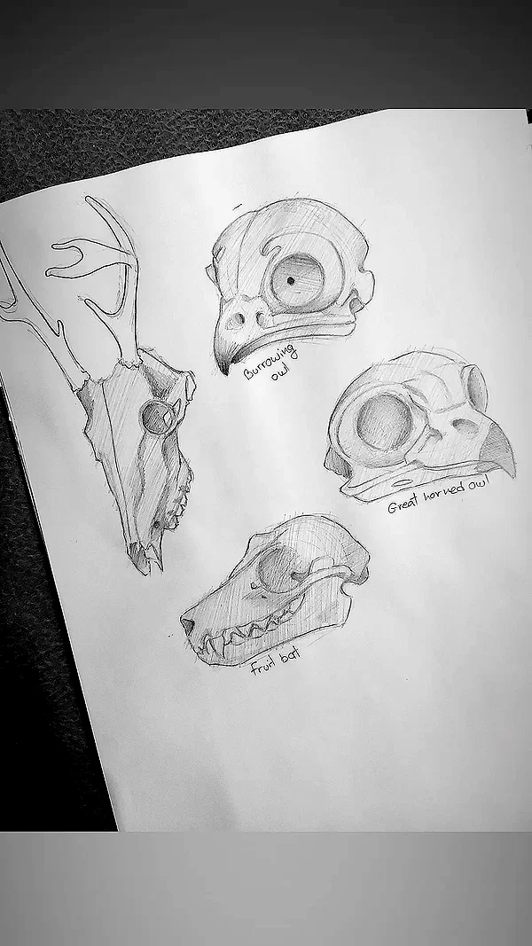 _ann.kim_ instagram image archive image