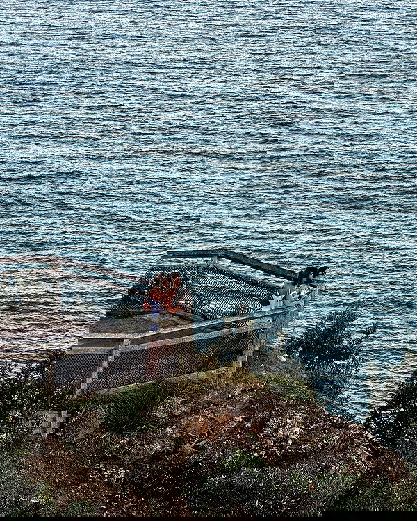 taylor.creeden taylor.creeden archive image