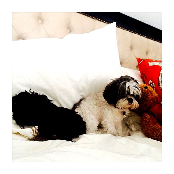 ashleybenson instagram image archive image