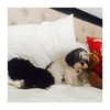 ashleybenson Altpins Profile Picture