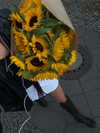emmaaurora Altpins Profile Picture
