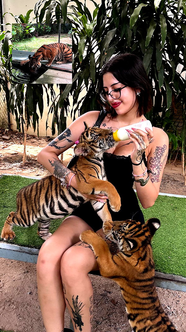 Archived image from @_shhayy22 on Instagram