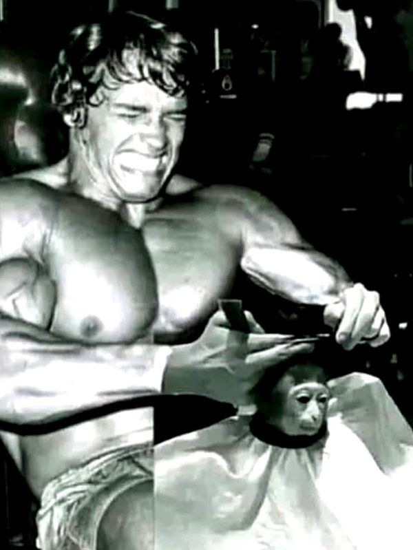 grogusmami instagram image archive image
