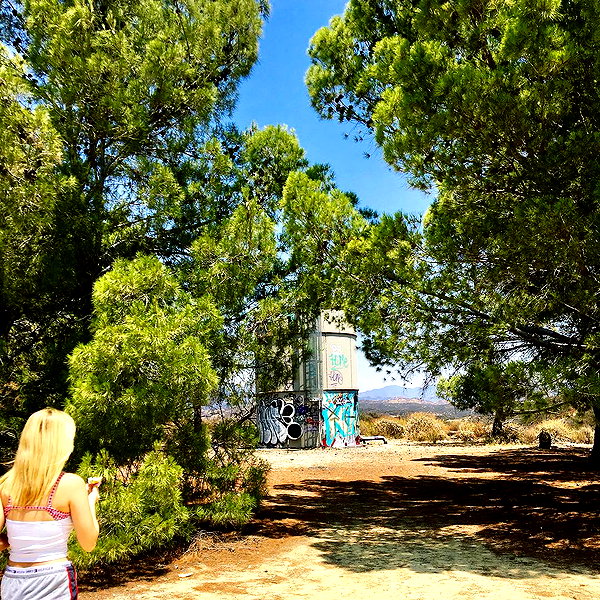 haileylayfield instagram image archive image
