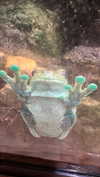 tatumchurch Altpins Profile Picture