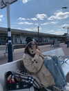 fair_mua Altpins Profile Picture