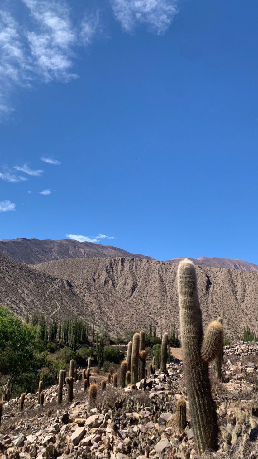 melbruno instagram image archive image