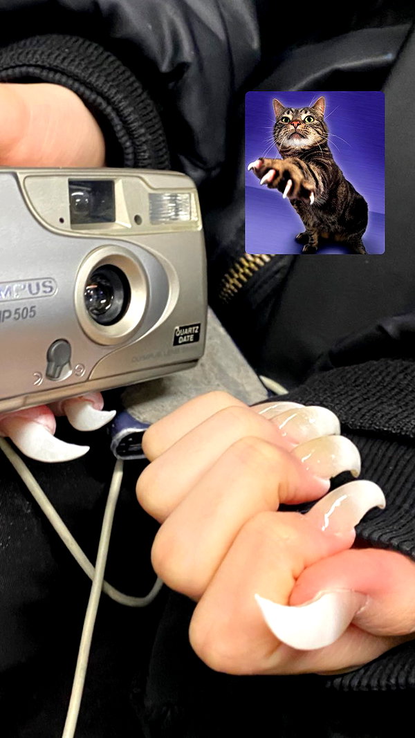 carmexan instagram image archive image