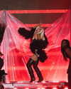 xtina Altpins Profile Picture