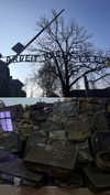 rott3nbambi Altpins Profile Picture