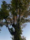 0nlygrlinthewrld Altpins Profile Picture
