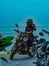 shanidahan7 Altpins Profile Picture