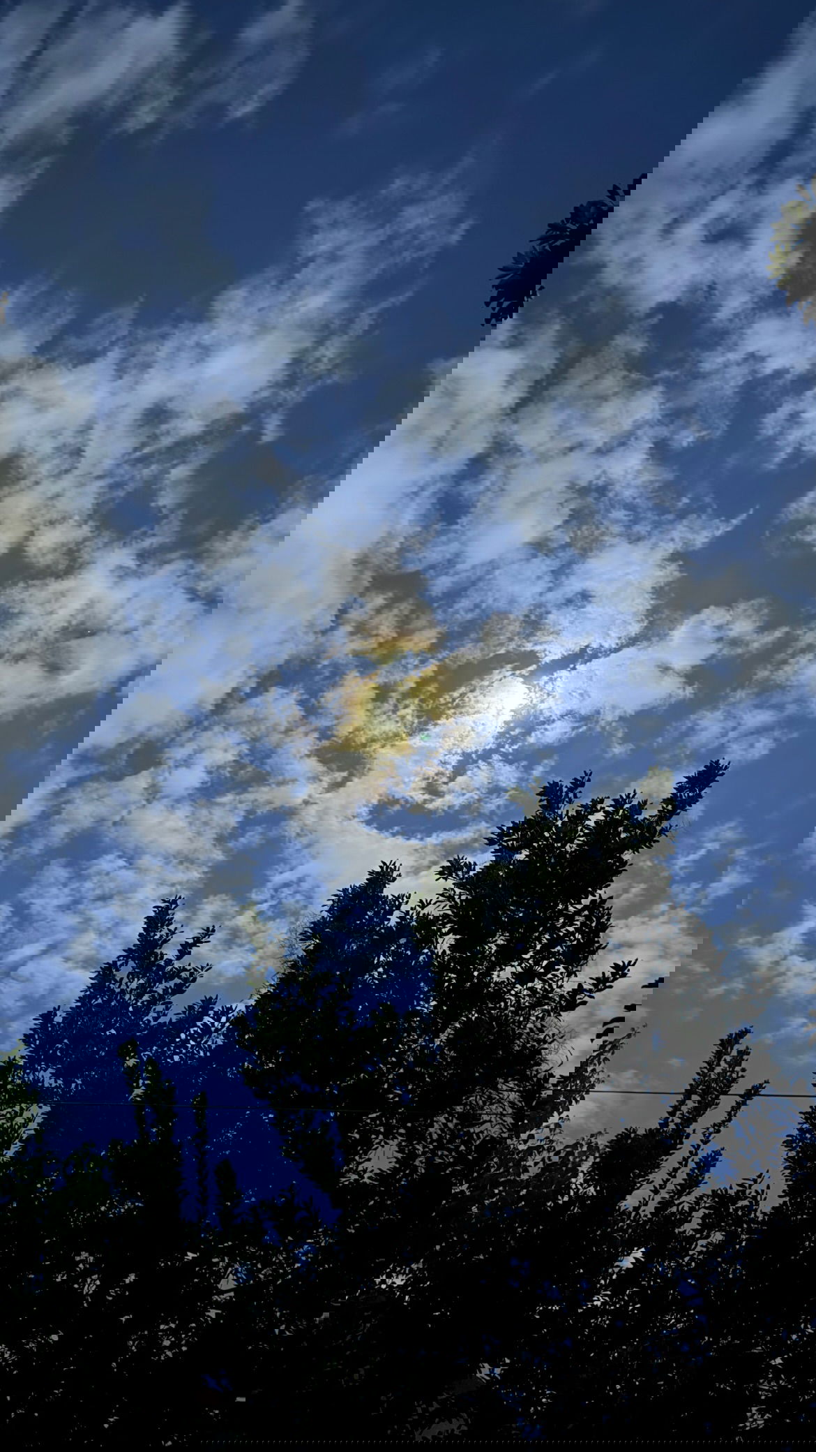 shunli__mei instagram image archive image