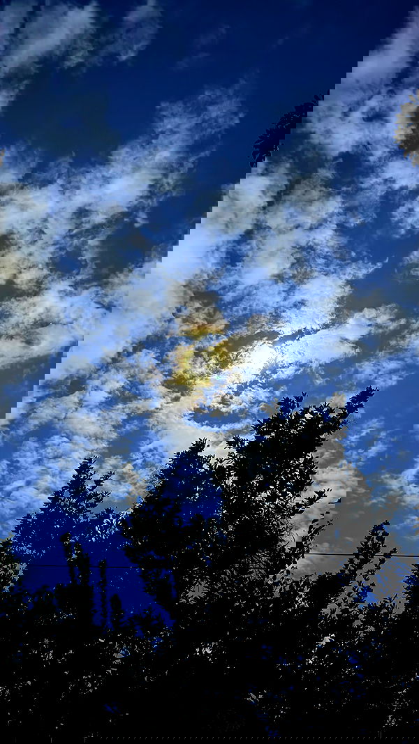 shunli__mei image ~ Altpins