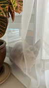 liiza_maarchuk Altpins Profile Picture