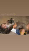 adyanacovelli Altpins Profile Picture