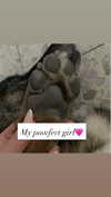 emily_new2 Altpins Profile Picture