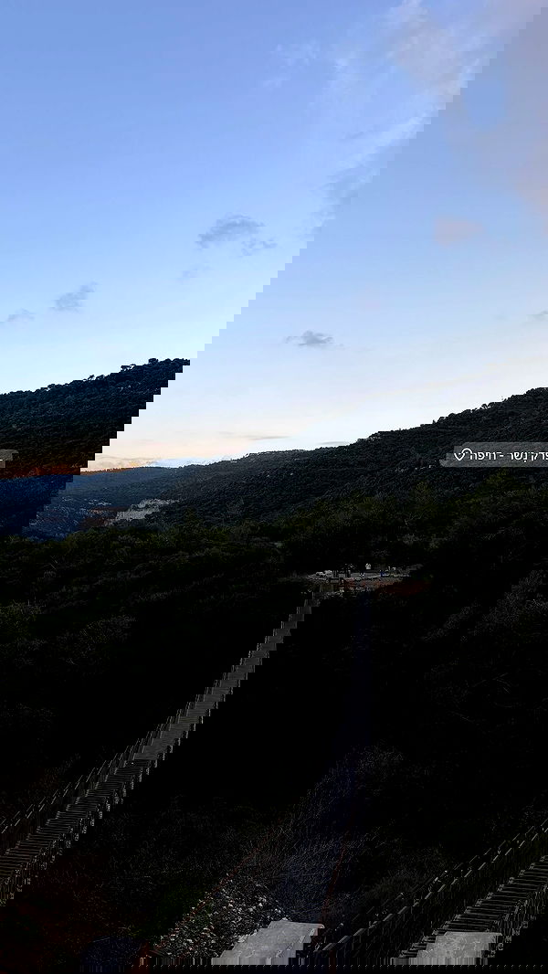 _._dianush._ _._dianush._ archive image