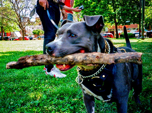 bugz4brainz instagram image archive image