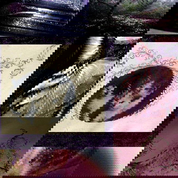 missnyxdawn missnyxdawn archive image