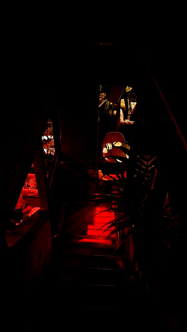 ayala.assaraf instagram image archive image