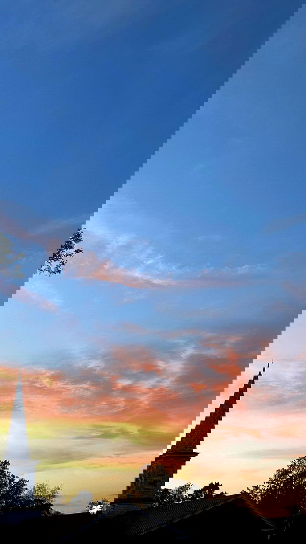 taylor.creeden taylor.creeden archive image