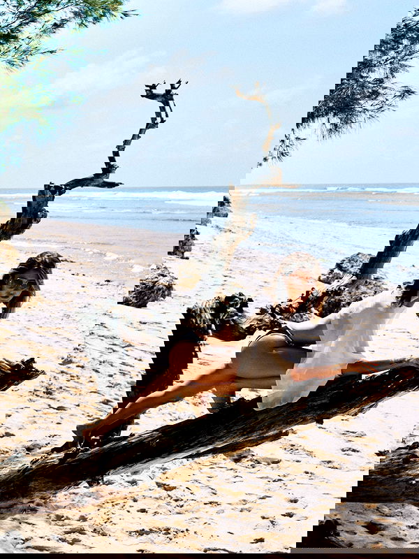 taylor.creeden taylor.creeden archive image