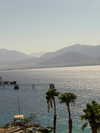 alma_ck_ Altpins Profile Picture