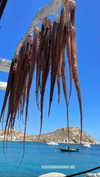 nomagdalina Altpins Profile Picture