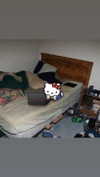 babynympho_archive Altpins Profile Picture