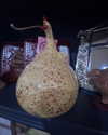 blossom_in_my_moonlight Altpins Profile Picture