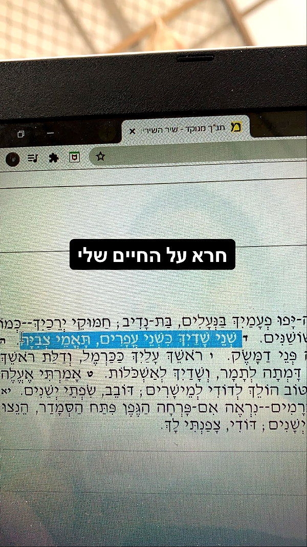 yuval_raz instagram image archive image