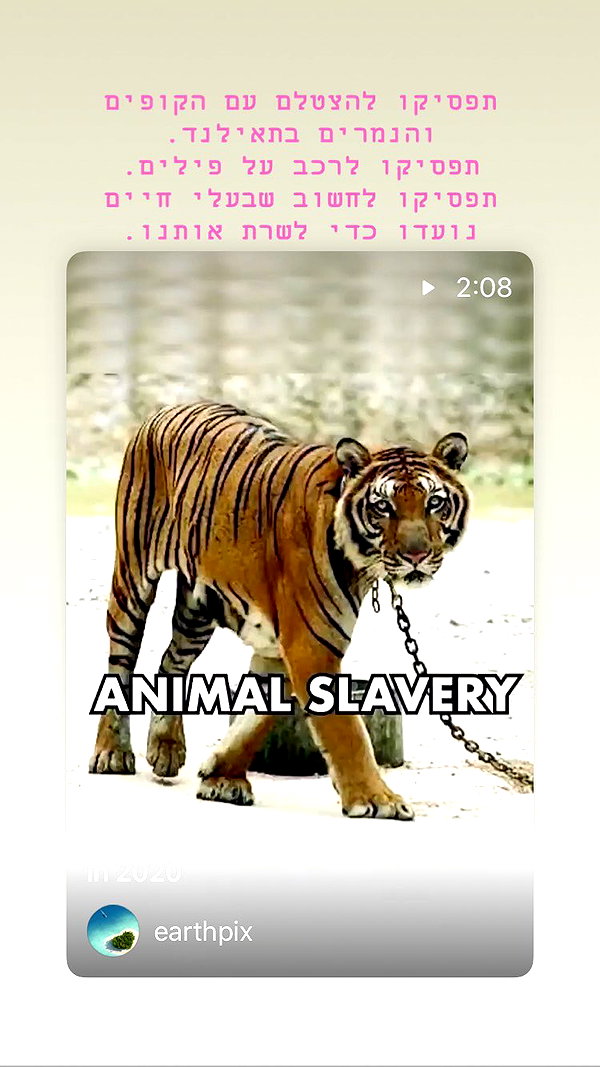 kesemgreenyer instagram image archive image
