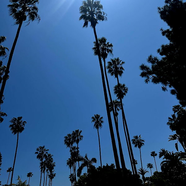 solveyyyy instagram image archive image