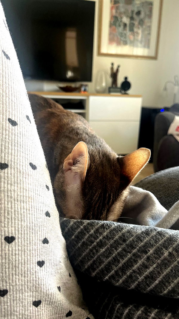 Archived image from @notchicore on Instagram
