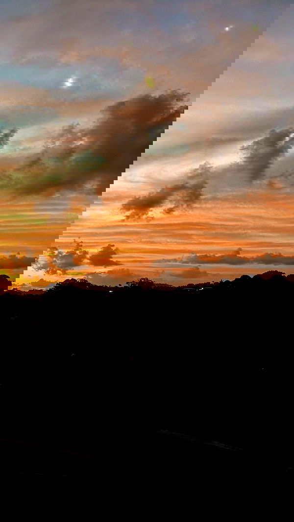 taylor.creeden taylor.creeden archive image