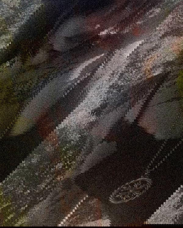 zommmbri zommmbri archive image