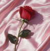 v.qx Altpins Profile Picture