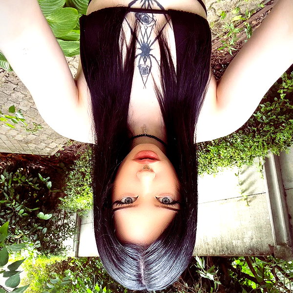 borkwsmh instagram image archive image