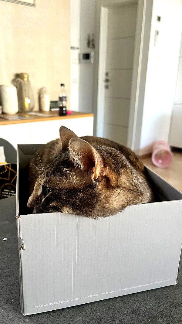 Archived image from @notchicore on Instagram