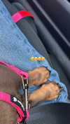 maya.keyy Altpins Profile Picture
