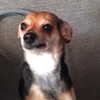 kriskaik Altpins Profile Picture