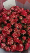 kkrina_a Altpins Profile Picture