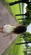 forestowwwl Altpins Profile Picture