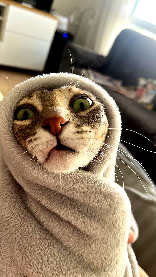 Archived image from @notchicore on Instagram