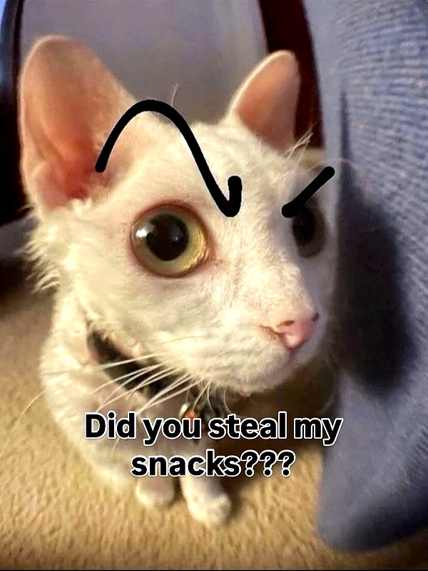 milkibunshehe instagram image archive image