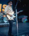 cannonstheband Altpins Profile Picture