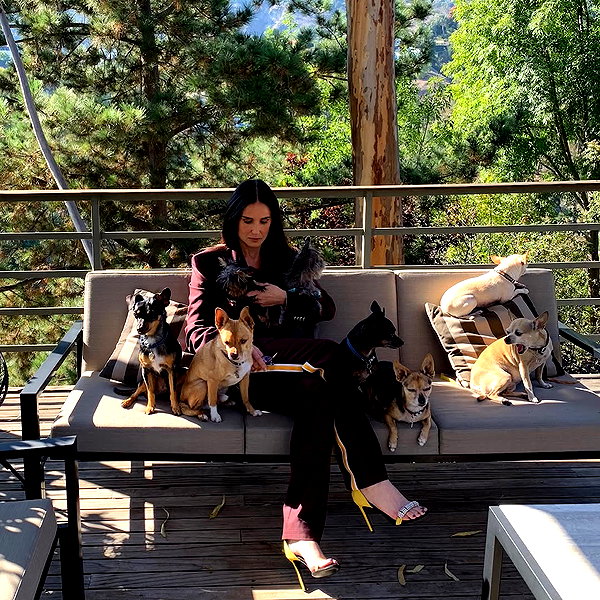 demimoore instagram image archive image