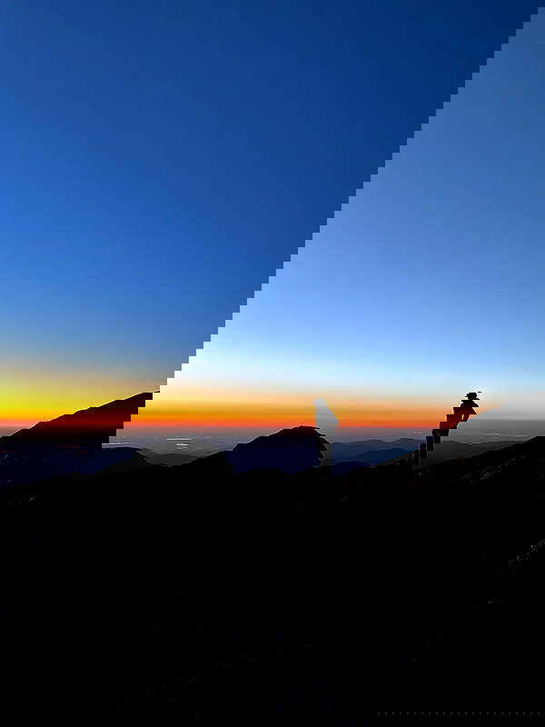 thelizzyporter thelizzyporter archive image